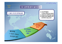 선하증권(기능,역할,효력,법적성질)-7