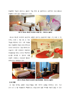[호텔객실경영론] 롯데호텔 서울의 Ladies Floor 객실전략 및 발전방향-19