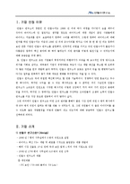 [조직행동] 안철수 연구소의 조직 분석-3