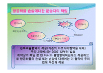 [보험론] 항공적하화물보험-11