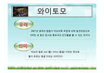 [관광여행상품] 에코투어리즘-15