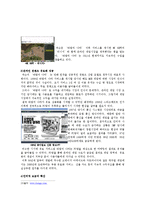 기업가 분석 -넥슨 김정주 대표-18