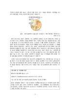 군가산점제도 찬성-3