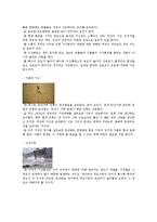 지구 온난화를 바라보는 새로운 시각-5
