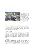 [도시행정론] 도시중심부 교통정책-13