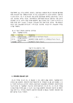 [도시행정] 도심의 교통문제를 해결을 위한 자가차량을 진입의 필요성-15
