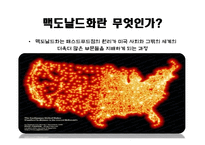 대중문화와 맥도날드화-9