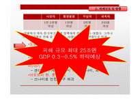 [일본정치] 도호쿠 대지진(東北大地震)에 따른 일본의 정책변화와 대응-6