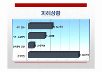 [일본정치] 도호쿠 대지진(東北大地震)에 따른 일본의 정책변화와 대응-16