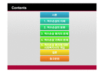 [의료사회사업론] 척수손상 환자와 가족을 위한 사회복지사의 역할-2