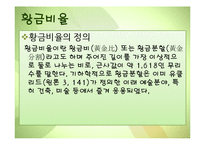 생물의 수학적 디자인-15