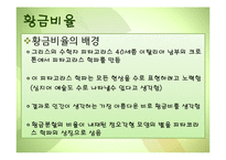 생물의 수학적 디자인-16