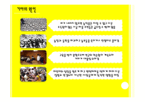 [세계화와 사회변동] 난민 기아 인권-7
