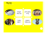 [세계화와 사회변동] 난민 기아 인권-11