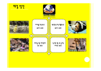 [세계화와 사회변동] 난민 기아 인권-19