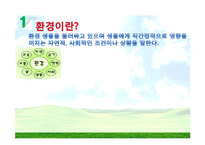 [세계화와 사회변화] 세계화 환경문제-5