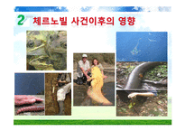 [세계화와 사회변화] 세계화 환경문제-13