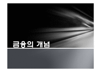 [세계화와 사회변화] 금융, 그리고 세계화-3
