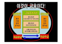 [세계화와 사회변화] 금융, 그리고 세계화-4