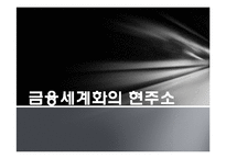 [세계화와 사회변화] 금융, 그리고 세계화-12