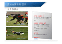 스포츠와 이색 스포츠-9