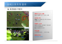 스포츠와 이색 스포츠-18