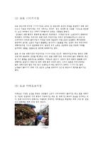[관광자원론] 수산업 관광-8