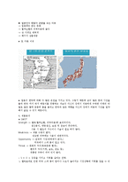 이태리 타월 일본 시장 연구-5