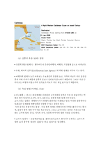 [크루즈산업] celebrity cruises와 국내 크루즈 관광산업-8
