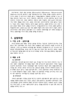 [마케팅] 삼양라면 신제품 전략-3