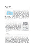 [마케팅] 삼양라면 신제품 전략-4