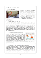 [마케팅] 삼양라면 신제품 전략-5