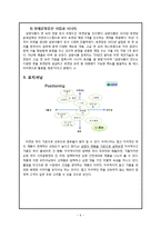[마케팅] 삼양라면 신제품 전략-10