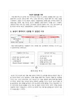 [글로벌 경영] 농심의 해외진출 성공사례-10