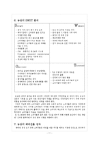[글로벌 경영] 농심의 해외진출 성공사례-11