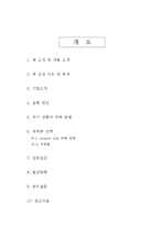 [국제경영학] 루거스너와 IBM 부활 신화-2