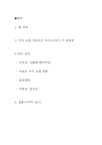 [경영정보론] SNS를 활용한 사이트 활성화 방안-2