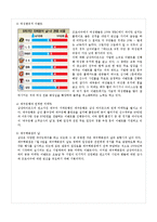 [마케팅전략] 삼성라이온즈 CRM-7