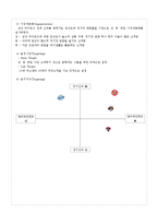 [마케팅전략] 삼성라이온즈 CRM-13