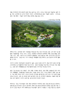 [관광자원론] 농임업 관광자원-14