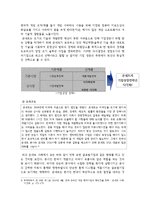 국제경영의 성공실패 사례에 대한 이론적 연결 및 평가 -온네트(OnNet)의 해외시장 진출 사례-6
