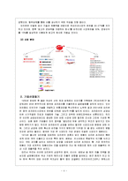 [국제마케팅전략] 초코파이의 영국 진출-4