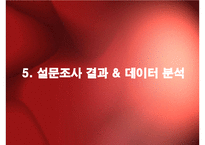 롯데제과`쿨레이디` 마케팅전략-20