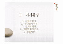 [국제경영] 한방화장품 설화수 인도 진출전략-12