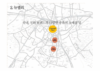 [국제경영] 한방화장품 설화수 인도 진출전략-15
