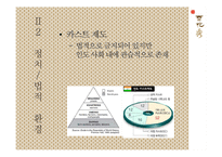 [국제경영] 한방화장품 설화수 인도 진출전략-17