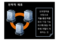 [거시조직론] 네트워크 조직 활성화를 위한 연구분석-8