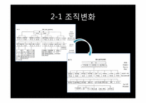 [거시조직론] 네트워크 조직 활성화를 위한 연구분석-15