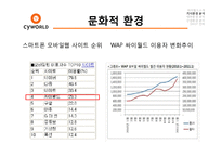 [경영학] 싸이월드 미니홈피 살리기 전략-15
