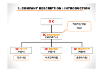 [재무관리] SK innovation(SK이노베이션) 기업분석-4